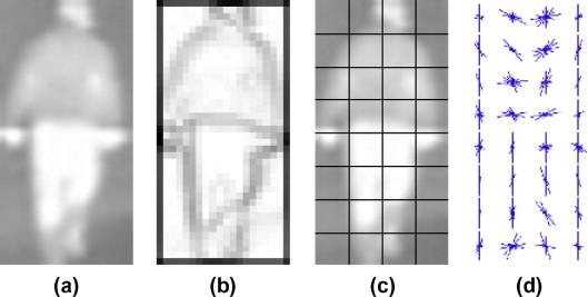 Obr. 3.2: Funkce vektoru HOG. (a) Původní obrázek. (b) Detektor hrany. (c) Obraz rozdělen do buněk 4x8 o velikosti jedné buňky 5x5 pixelů.