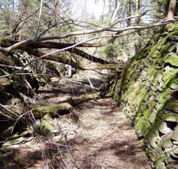 porostu náletových dřevin po ní můžete najít torza kamenných zdí i dřevěnou hřídel bývalého