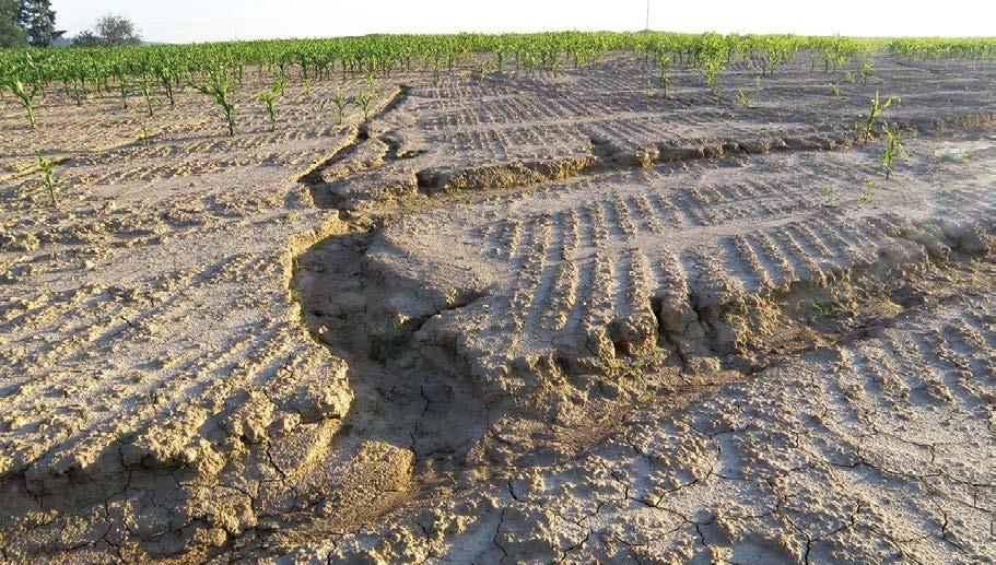 Pro vyhodnocení intenzity rýhové eroze je doporučováno hodnotit hustotu erozních rýh v km/km 2 (Tab. 3-4), ukazatelem současné aktivity erozních rýh je např. rychlost růstu rýh (Tab. 3-5). Tab.