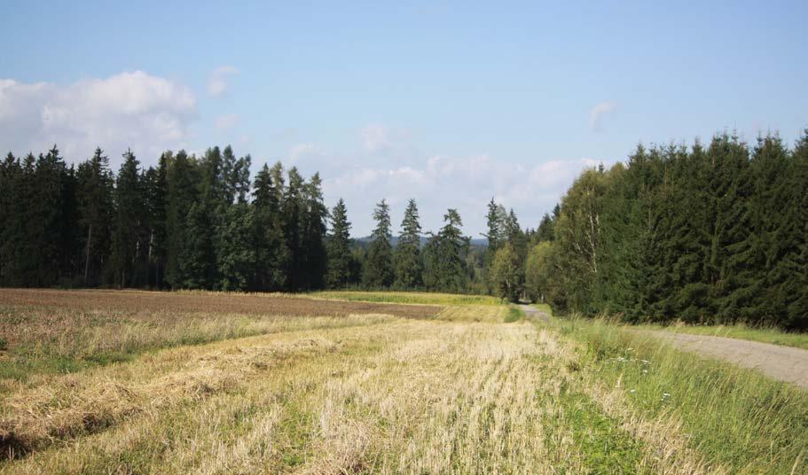 přívalových srážek (červen, červenec, srpen), kdy erozně nebezpečné plodiny (kukuřice, brambory, cukrová řepa, slunečnice, čirok apod.) svým vzrůstem nebo zapojením nedostatečně kryjí půdu. 4.2.