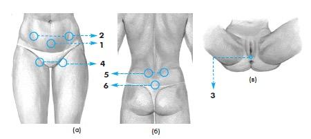 Strana 161 z 192 Pánevní bolesti, nepravidelná menstruace, endometrióza č. Léčené místo Frekvence Čas expozice Den 1., 9. Den 2., 6., 10. 1. Děloha 2. Přívěšky dělohy 1. Děloha 2. Přívěšky dělohy 5 Hz 50 Hz Den 3.