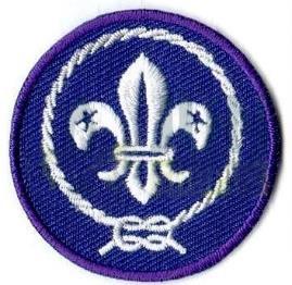 znaky WAGGGS a WOSM viz znak WAGGGS, znak WOSM viz znak WAGGGS, znak WOSM dvojice nášivek PRVNÍ v pořadí, 1 cm pod ramenním švem na středové ose, při pohledu na rameno nositelky