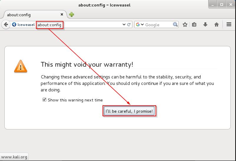 tači cl1 prověříte spuštěním prohlížeče Iceweasel. Do adresního řádku zadejte about:config a potvrďte modifikaci nastavení prohlížeče, viz obrázek 3.