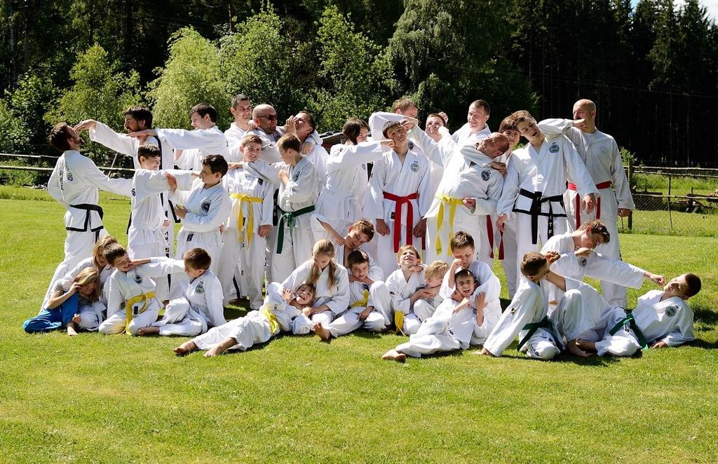 Jsem předseda školy, která se zvětšuje. Učíme Taekwon-do ve třech městech.