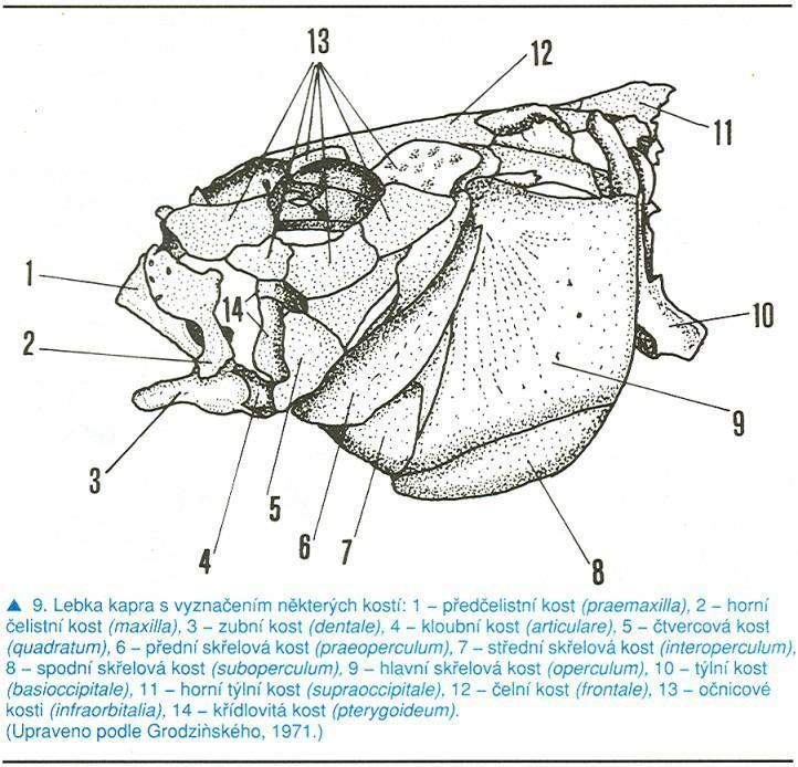 ebook Creative mathematics: