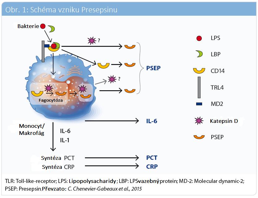 Co je Pathfast PRESEPSIN? Pathfast PRESEPSIN je chemiluminiscenční enzymatická imuno-analýza (CLEIA) pro stanovení koncentrace PRESEPSINU v krvi nebo plazmě.