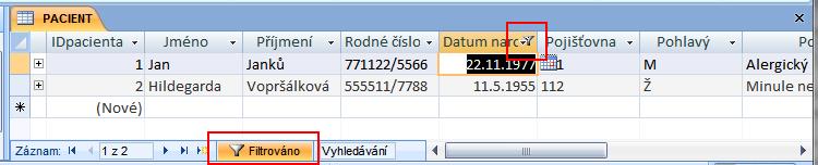 Že jsou záznamy filtrované je vidět v navigačním panelu a v záhlaví sloupce, který je filtrovaný.