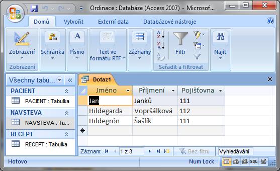 6. Dotaz se spustí a následně zobrazí seznam pacientů a jejich pojišťovny.