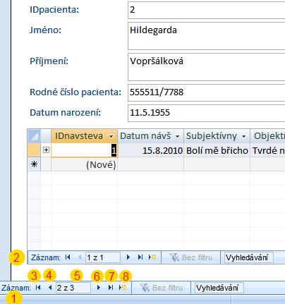Navigace ve formuláři Ve formuláři je možné mít v jednu chvíli otevřeny jen jeden záznam.
