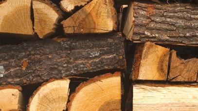 Dalšími výhodami jsou neuvěřitelně jednoduchá obsluha, bezroštové spalování a obrovské topeniště, které pojme špalky dřeva o