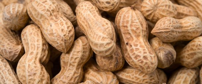VÝSLEDKY Arašíd Alergie na arašídy je potravinová alergie typu I, která je vyvolávána takzvanými alergeny Ara h.