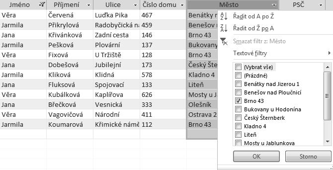 Zobrazení datového listu 4. K aktuálnímu filtru přidejte výběrem v seznamu filtrů ještě jména Jarmila a Věra. Klepnutím na OK se zobrazí dohromady 12 záznamů. 5.