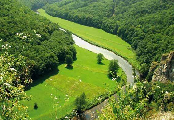 Exkluzivní výhody a bonusy pro vás Za vyhlídkami Podyjí Délka trasy: 44 km, stoupání celkem 825 m, klesání celkem 825 m, obtížnost: střední Během přibližně půldenního výletu navštívíte jedny z