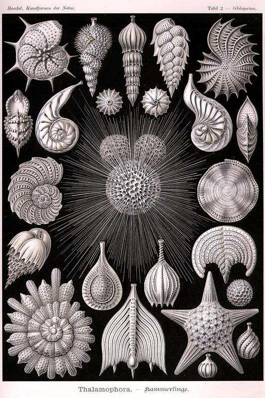 59
