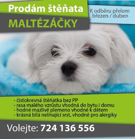 1. 15:00 Hledá se Dory 9. 1. 20:00 Kontakt ŽALUZIE horizontální meziskelní vertikální látkové plastové interiérové látkové rolety předokenní rolety NONSTOP TAXI 723