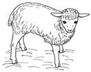 MATEŘSKÉ ŠKOLY O beránkovi a ovečkách Co potřebují ovečky ke spokojenému životu a k čemu jsou nám užitečné? Navštívíme ovčín, připravíme krmení a podíváme se na ovčí stádo.