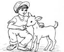 I. STUPEŇ ZŠ Kde se vzala domácí zvířata Na našem statku mají děti ojedinělou možnost seznámit se s původními českými plemeny hospodářských zvířat.