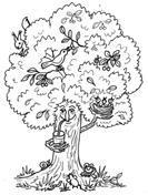Co umí stromy 3.- 5. I. STUPEŇ ZŠ Co vlastně stromy umí? A kdo je potřebuje? Budeme poznávat stromy podle listů i plodů, uděláme si frotáž kůry a listů.