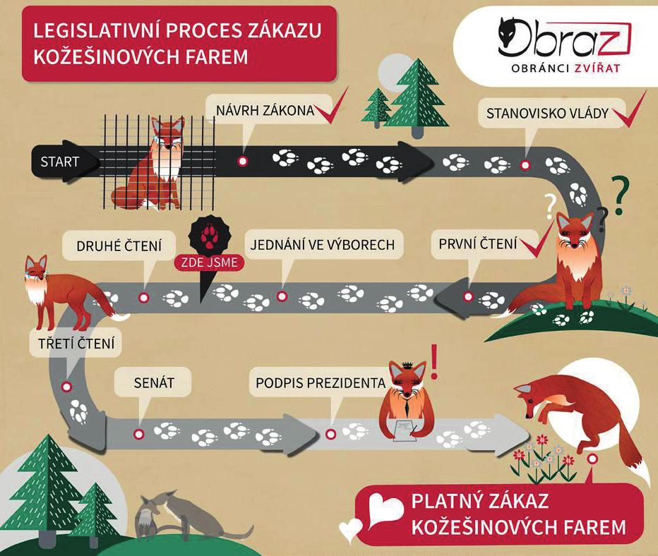 Poslanci se zabývali zmíněnou novelou v úterý 8. listopadu odpoledne, k tématu probíhala vášnivá debata. Schůze byla po rozpravách přerušena, samotné hlasování pak proběhlo až ve středu 9. listopadu. Pro postoupení návrhu do dalšího čtení hlasovalo 67 poslanců, o 10 méně bylo proti, zbylých 21 poslanců se hlasování zdrželo.