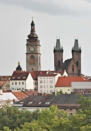 až sedmkrát za semestr, řičemž výukovými dny jsou v oboru Mezinárodní vztahy a evroská studia zravidla soboty a v oboru Veřejná sráva zejména áteční odoledne a