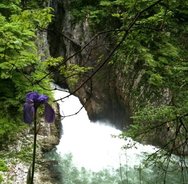 krasová voda, je zpřístupněno turistům. K nejnavštěvovanějším patří Postojenské a Škocjanské jeskyně, jeskyně Pivka a Črna jama, Kriţna jama, Vilenica atd.