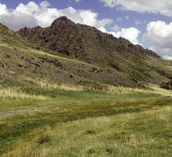 Na svazích se nacházejí teplomilné trávníky ze svazu Bromion erecti s válečkou prapořitou (Brachypodium pinnatum) a kostřavou žlábkatou (festuca rupicola), s hrachorem chlumním (lathyrus lateus),