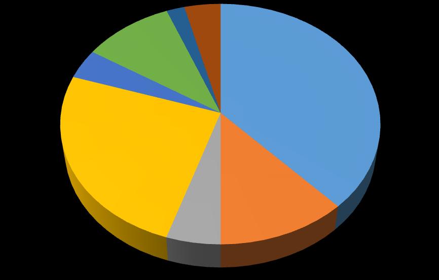 4.2.2 Důvod návštěvy Tato otázka byla otevřená.