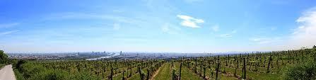 - Při cestě na Kahlenberg budete míjet i zastávku Grinzing, ze které je také krásný výhled na Vídeň a pokud jste milovníci vína, přijdete si na své.
