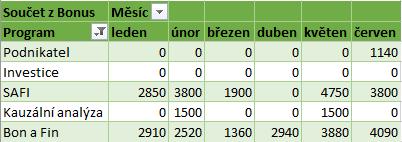 9 Excel 183 OBR. 9-42: BONUSY Seznam vzorců Enc-09-10 Odstranění výpočtových položek a polí Průřez Použijeme-li více počítaných položek a polí, můžeme si na nový list vypsat, jak jsou definované.