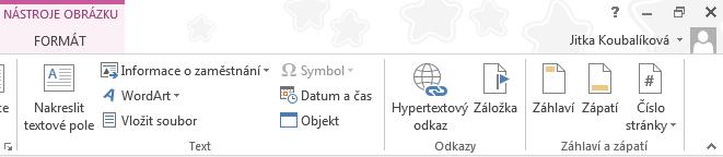 Objekty, které můžeme vkládat, se nacházejí právě na kartě VLOŽENÍ, rozdělené do několika skupin, což nám ukazuje obr. 12-2. OBR. 12-2: KARTA VLOŽENÍ Stránka Obrázek Logo_Encian. jpg Enc-12-01.