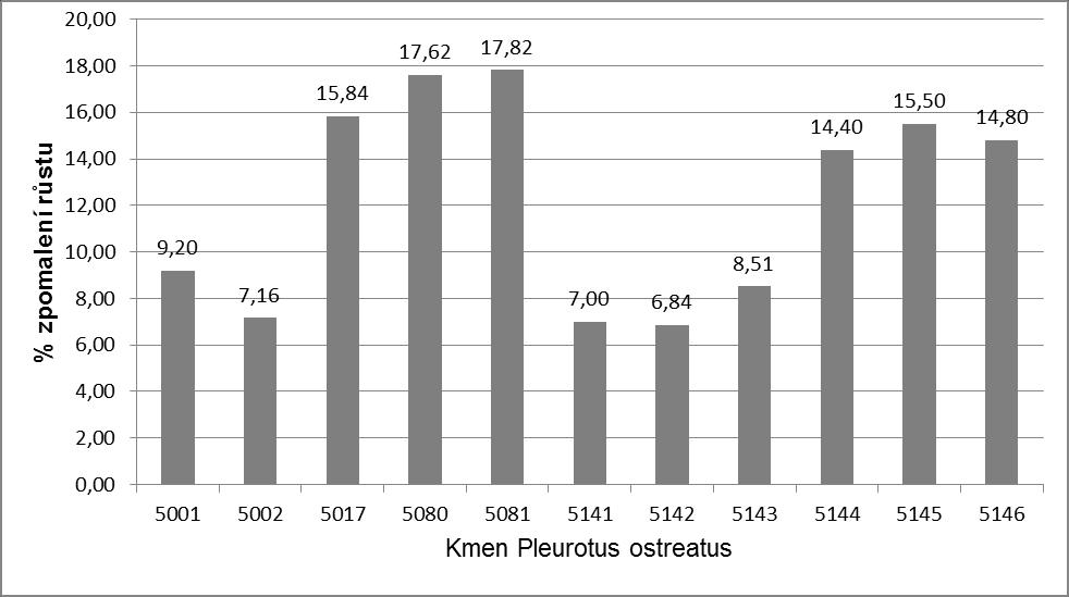 hodnocení zpomalení růstu v případě vybraných kmenů Pleurotus ostreatus (Graf č. 1) a Pleurotus pulmonarius (Graf č.