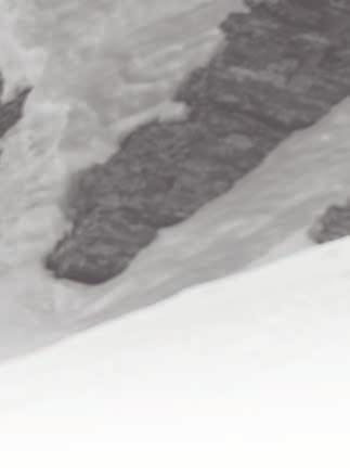 Lyže Stormrider Pro 115 je nejširší lyže v řadě