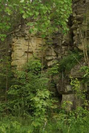 Hydrogeologická charakteristika území Čtyři na sobě nezávislé hydrogeologické kolektory oddělené hydrogeologickými izolátory D - pískovce, coniak; C - pískovce, střední turon; B - pískovce, spodní