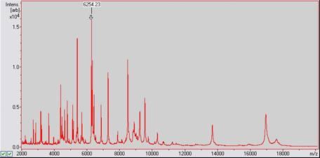 7.2.1 Postup manuální kalibrace 1. Do hmotnostního spektrometru MALDI-TOF vložte připravený nosič MALDI se vzorkem přípravku IVD BTS. 2. Ujistěte se, že program flexcontrol běží. 3.