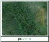 prasem - odrůda chalcedonu, pažitkově zelený chloritickými příměsemi, naleziště: Rakousko, SRN praseodym - praseodymium, prvek chem. zn.