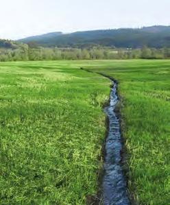 A AGRO-ENVI Směs pro zatravňování drah soustředěného odtoku založení travního porostu nejpozději do 31.