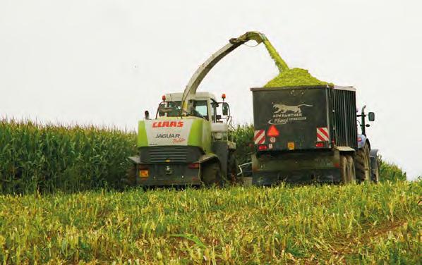 Hybridy RAGT KUKUŘICE RGT VOLUMIXX Sázka na jistotu plných silážních žlabů registrace ČR 2014 FAO S 250 / Z 250 typ zrna: tvrdý typ až mezityp, typ hybridu: Sc plastický hybrid určený k vysoké