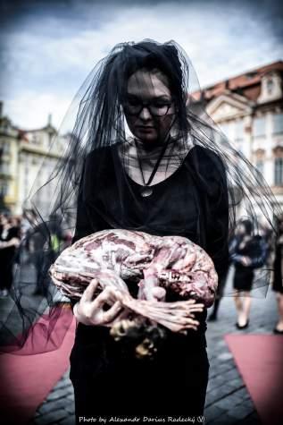 květen Módní přehlídka Zveřejněním záběrů nic neskončilo, ba naopak - začal běh na dlouhou trať, na jehož pomyslném konci stojí zákaz kožešinových farem v České republice. 19.