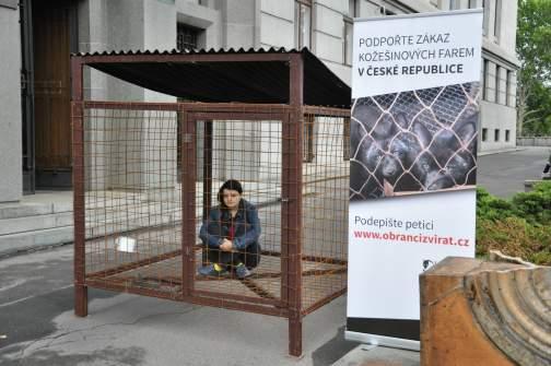 srpna probíhala akce před Ministerstvem zemědělství s názvem Týden v kleci.