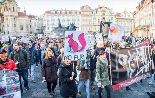 Nové záběry na farmách se nic se nezměnilo Námi zveřejněné záběry vyvolaly nejen mediální odezvu. Státní veterinární správa po jejich publikaci vykonala sérii kontrol.