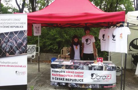 regionální SkUpiny Během roku 2015 jsme také investovali energii do vzniku regionálních skupin, protože nechceme být organizace s úzkou působností jen v Praze.