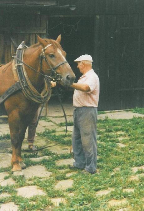 Příloha č.