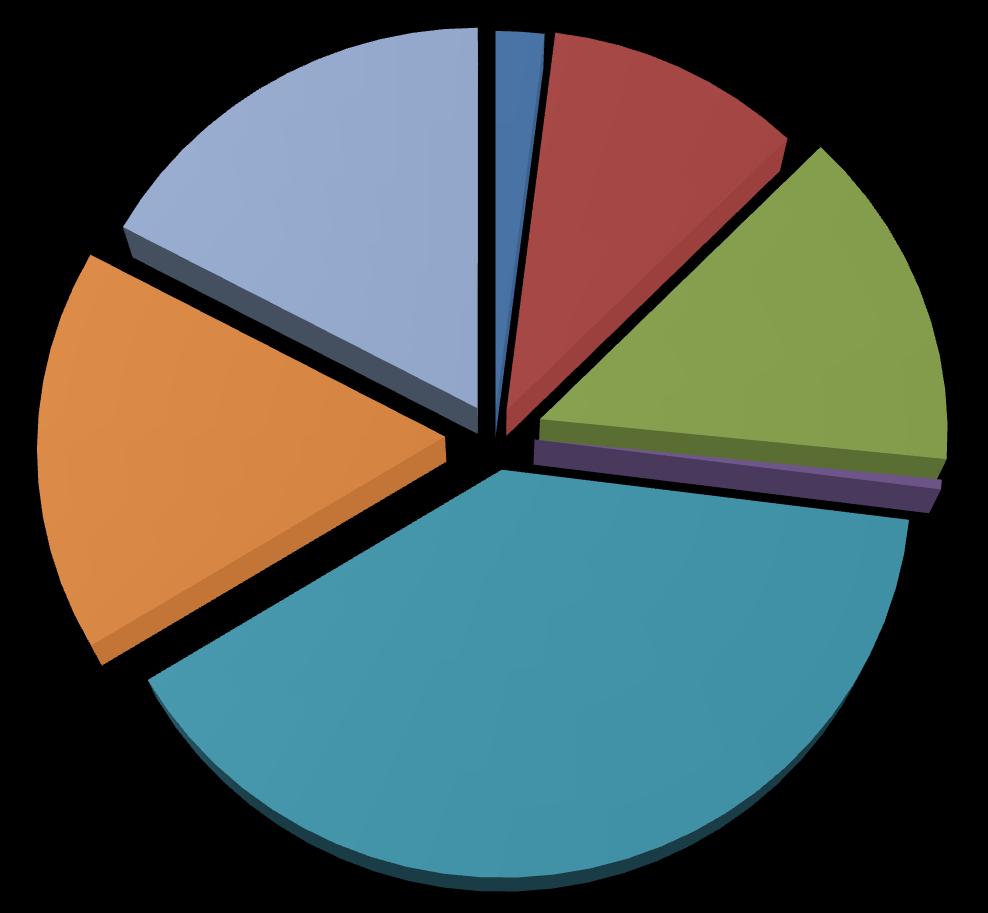 Segmenty trhu rok 2014 17% 2% 11%
