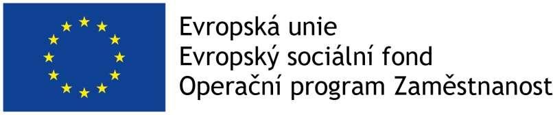 Problémy související s poskytováním péče během těhotenství, porodu a šestinedělí v České republice. Situace v ČR zůstává znepokojivá.