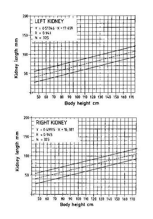 3.3 Normální hodnoty ledvin Tabulka 1: Dinkelova tabulka Je to vztah délky ledviny k výšce těla dítěte.