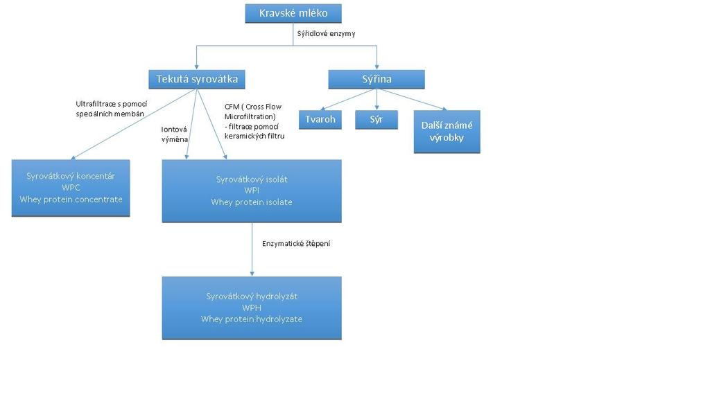 Obrázek č 12: Schéma výroby syrovátkového proteinu. Archiv autora. 1) 7) 8) 2.2.4 Bílkoviny ve výživě Proteiny jako složka výživy jsou pro tělo nezbytné.