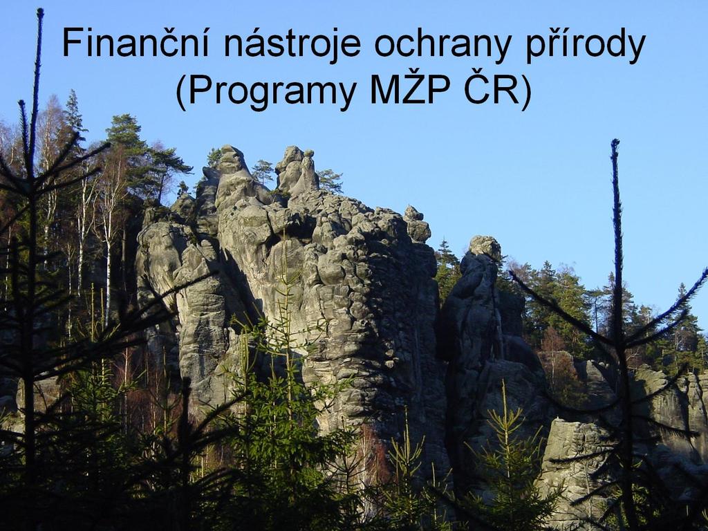 Finanční nástroje ochrany