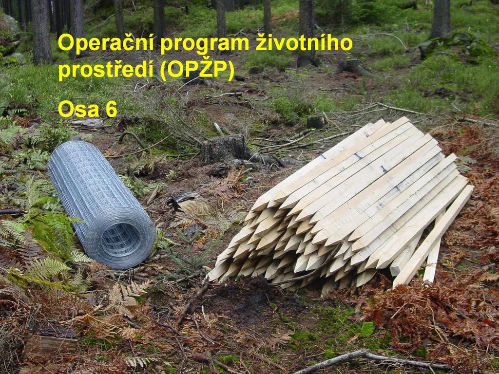 Operační program