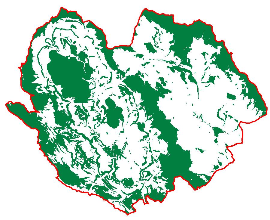Současné rozložení lesů v CHKO Broumovsko Lesy: 38 % území CHKO (celkem 16 553 ha) les zůstal zachován na nejméně úrodných půdách : - v Jestřebích