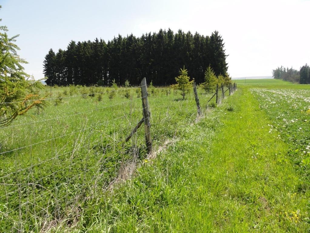 Pozitivní příklady Rozčlenění rozsáhlých ploch orné půdy mezi Otovicemi a